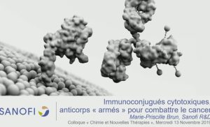 Immunoconjugués cytotoxiques, anticorps «&nbsp;armés&nbsp;» pour combattre le cancer – Marie-Priscille BRUN