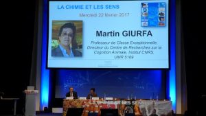 Martin Giurfa – Les phéromones et le cerveau des insectes