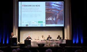 Mémoire du bois&nbsp;: apport de la chimie à la connaissance de la charpente carbonisée de Notre-Dame de Paris – Alexa DUFRAISSE